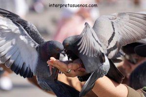 significado-de-sonar-palomas